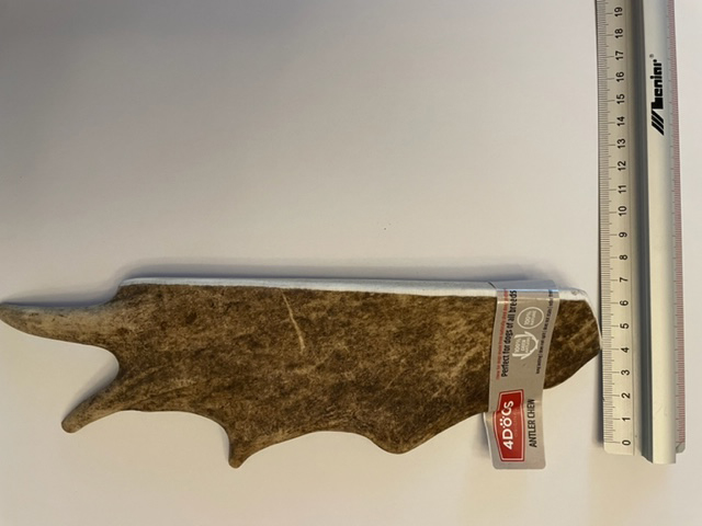 Fallow deer width XXL 4-7cm.jpg